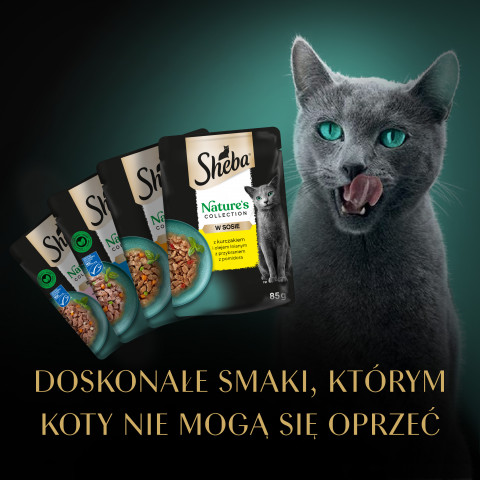 SHEBA Nature's Collection Mix - mokra karma dla kota - 40x85 g - Galeria zdjęcie 11