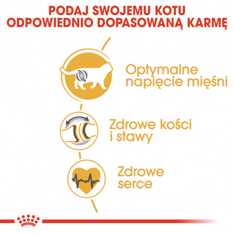 ROYAL CANIN FBN British Shorthair Adult - sucha karma dla dorosłego kota - 2 kg - Galeria zdjęcie 5