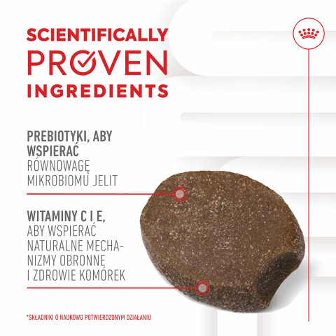 ROYAL CANIN Supplements Dog Immunity & Digest Puppy - suplementy dla psa - 100g - Galeria zdjęcie 7
