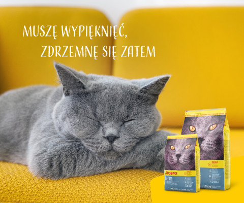 JOSERA Léger - sucha karma dla kota - 10kg + 2kg GRATIS! - Galeria zdjęcie 13