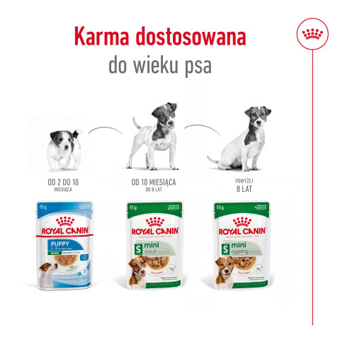 ROYAL CANIN Mini Ageing - mokra karma dla psa - 12x85 g - Galeria zdjęcie 5