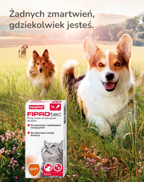 Beaphar FIPROtec Krople dla kota S 50mg x1 - Galeria zdjęcie 9