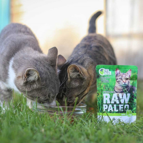 VET EXPERT Raw Paleo Adult Cat Sterilised Dziczyzna - mokra karma dla kota - 100g - Galeria zdjęcie 2