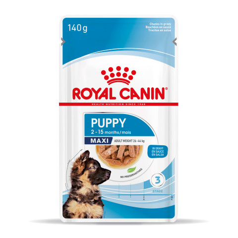 ROYAL CANIN SHN Maxi Puppy w sosie - mokra karma dla szczeniąt - 10x140 g - Galeria zdjęcie 2