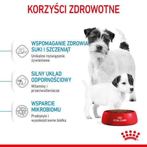 ROYAL CANIN Starter Mini Mother & Babydog - sucha karma dla szczeniąt i suk w ciąży oraz okresie laktacji - 1 kg - Galeria zdjęcie 12
