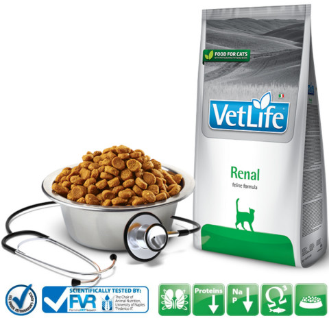 FARMINA Vet Life Renal Feline - sucha karma dla kota - 400g - Galeria zdjęcie 2