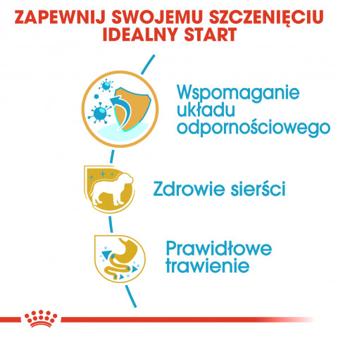 ROYAL CANIN BHN Yorkshire Puppy - sucha karma dla szczeniąt - 1,5 kg - Galeria zdjęcie 7