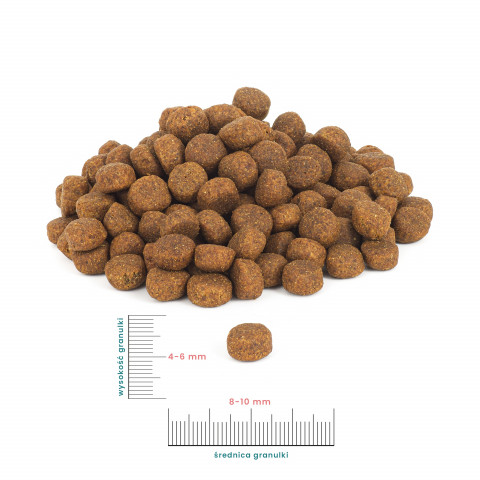 PERRO Junior Wołowina z batatami - sucha karma dla psa - 1kg - Galeria zdjęcie 2