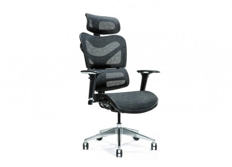 Ergonomiczny fotel biurowy ERGO 600 czarny - Galeria zdjęcie 1