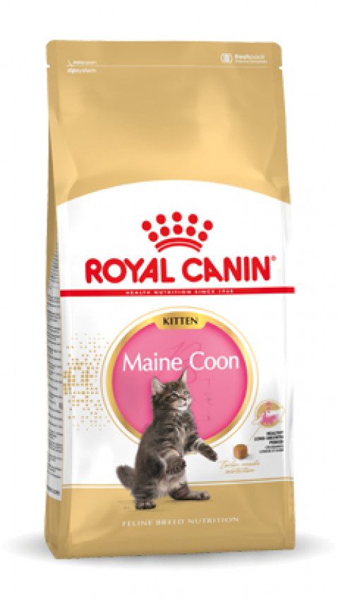 Royal Canin FBN Maine Coon Kitten - sucha karma dla kociąt - 10 kg - Galeria zdjęcie 2