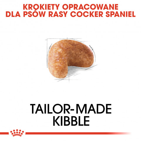 ROYAL CANIN BHN Cocker Adult - sucha karma dla psa dorosłego - 12 kg - Galeria zdjęcie 4