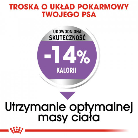 ROYAL CANIN CCN MINI STERILISED - sucha karma dla psa dorosłego - 3kg - Galeria zdjęcie 7