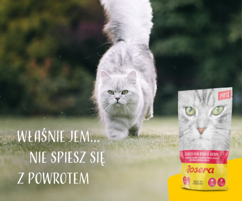 JOSERA Pate gulasz kurczak z wołowiną - mokra karma dla kota - 85 g - Galeria zdjęcie 6