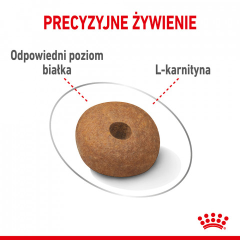ROYAL CANIN CCN MEDIUM LIGHT WEIGHT CARE - sucha karma dla psa dorosłego - 3kg - Galeria zdjęcie 7
