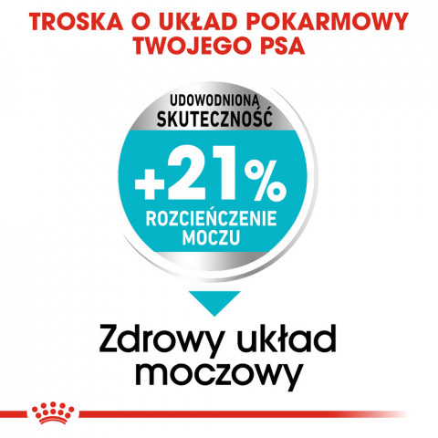 ROYAL CANIN Mini Urinary Care CCN - sucha karma dla psa - 1 kg - Galeria zdjęcie 2