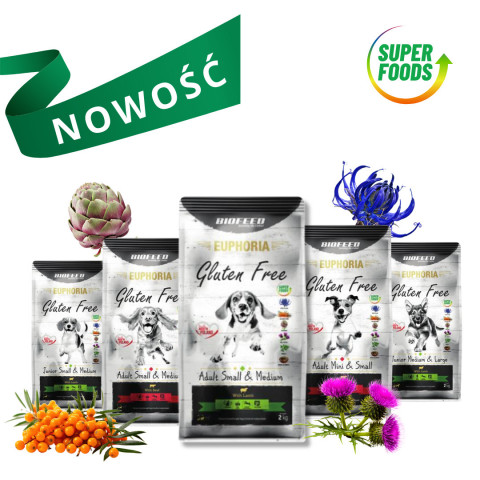 BIOFEED Euphoria Gluten Free Adult small & medium Jagnięcina - sucha karma dla psa - 2 kg - Galeria zdjęcie 4