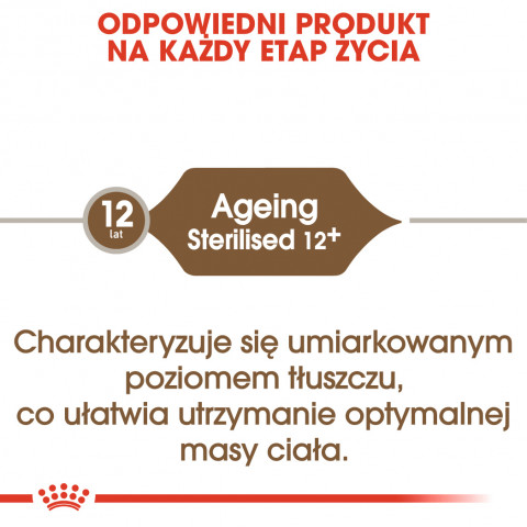 ROYAL CANIN Senior Ageing 12+ Sterilised - sucha karma dla kota - 2 kg - Galeria zdjęcie 8