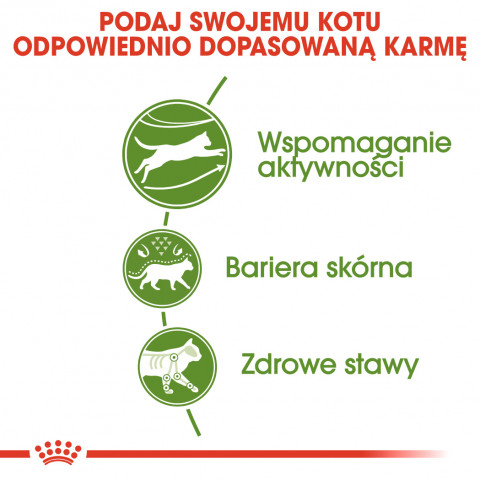 Karma Royal Canin FHN Outdoor 30 4 kg - Galeria zdjęcie 3