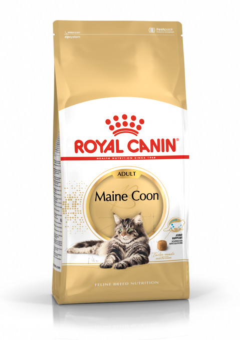 Royal Canin FBN Maine Coon Adult - sucha karma dla kota dorosłego - 4 kg - Galeria zdjęcie 1