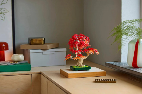 LEGO BOTANICALS 10348 JAPANESE RED MAPLE BONSAI TREE - Galeria zdjęcie 12