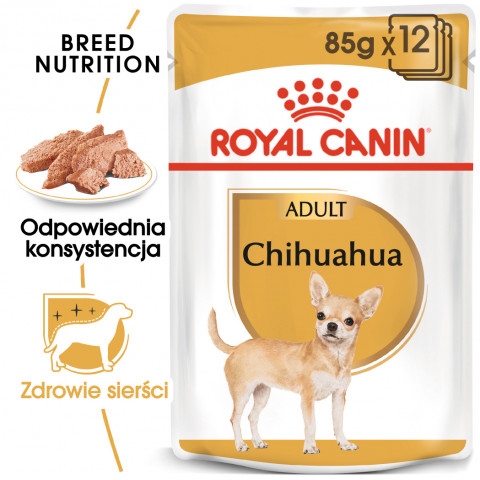 ROYAL CANIN BHN Chihuahua Adult - mokra karma dla psa dorosłego - 12x85 g - Galeria zdjęcie 3