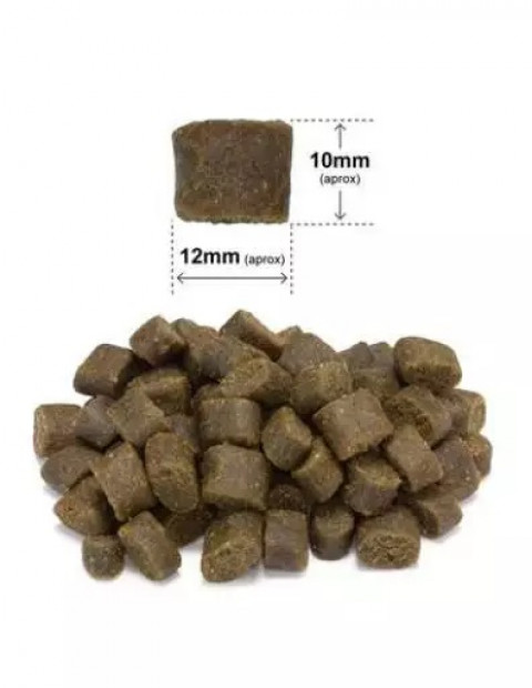 ARQUIVET Fresh Wieprzowina iberyjska i ryba oceaniczna - półwilgotna karma dla psa - 2,5 kg - Galeria zdjęcie 2