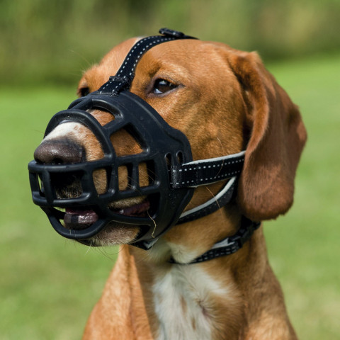 TRIXIE Muzzle Flex - kaganiec dla psa - rozmiar L-XL - czarny - Galeria zdjęcie 2