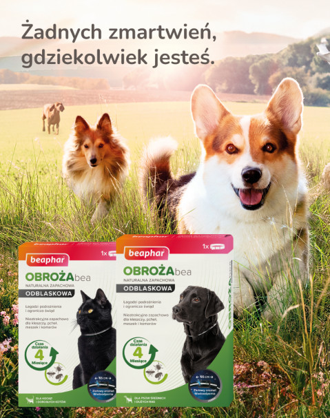 BEAPHAR Bea Odblaskowa obroża przeciw pchłom i kleszczom - 65 cm - Galeria zdjęcie 7