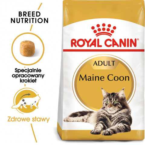 Royal Canin FBN Maine Coon Adult - sucha karma dla kota dorosłego - 4 kg - Galeria zdjęcie 4
