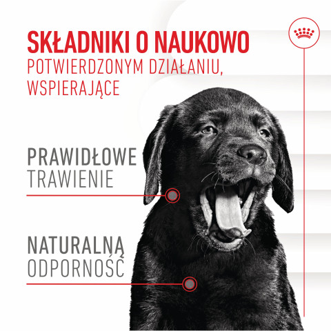 ROYAL CANIN Supplements Dog Immunity & Digest Puppy - suplementy dla psa - 100g - Galeria zdjęcie 8