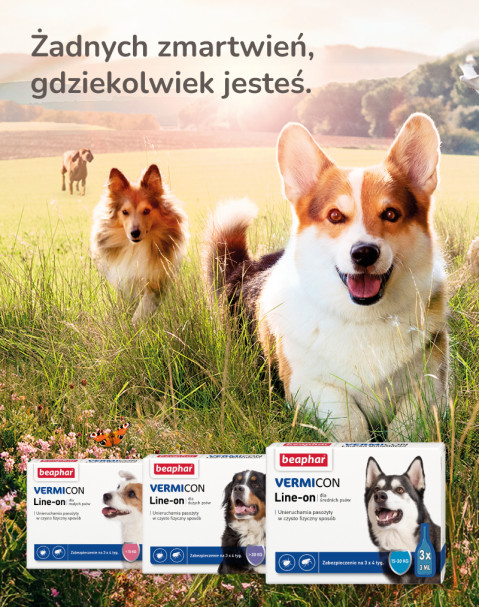 BEAPHAR VERMIcon Line-on Dog M - krople przeciw pasożytom dla psa - 3x3 ml - Galeria zdjęcie 11