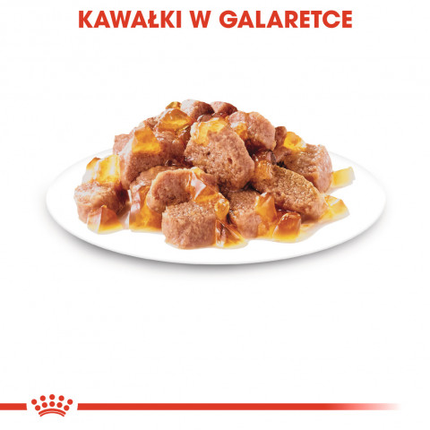 ROYAL CANIN FHN Ageing 12+ w galaretce - mokra karma dla kota starszego - 12x85 g - Galeria zdjęcie 6