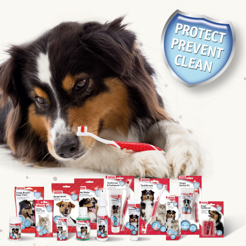 BEAPHAR Fresh Breath - przysmak witaminowy dla psów - 150g - Galeria zdjęcie 5