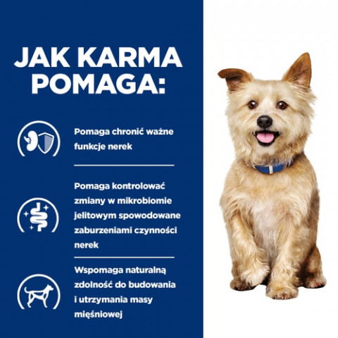 Hill's Prescription Diet Kidney Care Canine k/d - sucha karma dla psa - 12 kg - Galeria zdjęcie 3