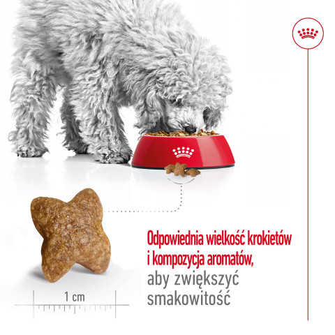 ROYAL CANIN Adult Mini S - sucha karma dla psa - 2 kg - Galeria zdjęcie 14