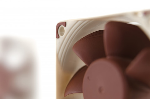 Wentylator NOCTUA NF-A6x25 60x25 mm PWM 5V - Galeria zdjęcie 5
