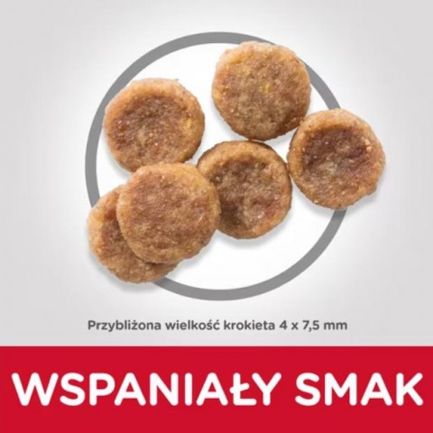 HILL'S Science Plan Adult small&mini Kurczak - sucha karma dla psa - 1,5 kg - Galeria zdjęcie 3