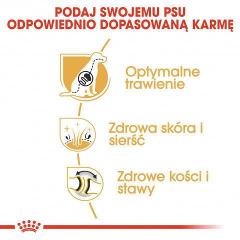 ROYAL CANIN BHN German Sh Ad - sucha karma dla psa dorosłego - 11 kg - Galeria zdjęcie 5