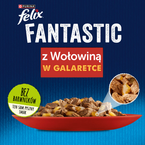 FELIX Fantastic Wołowina w galaretce - mokra karma dla kota - saszetka 100 g - Galeria zdjęcie 6