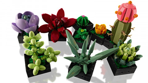 LEGO ICONS 10309 Sukulenty - Galeria zdjęcie 5