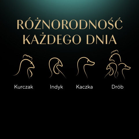 SHEBA Nature's Collection Drobiowe Smaki w galaretce - mokra karma dla kota - 40x85 g - Galeria zdjęcie 15