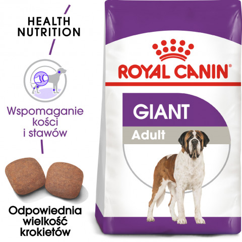 ROYAL CANIN SHN Giant Adult - sucha karma dla psa dorosłego - 15 kg - Galeria zdjęcie 2