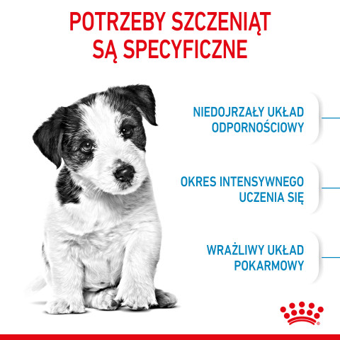 ROYAL CANIN Puppy Mini SHN - sucha karma dla szczeniąt - 2 kg - Galeria zdjęcie 6