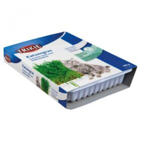TRIXIE Trawa dla kota pojemnik 100g 4235 - Galeria zdjęcie 3