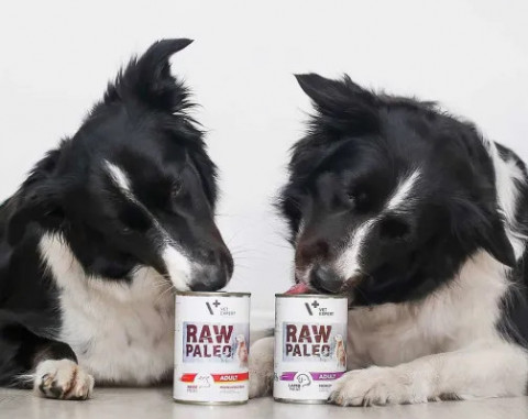 VET EXPERT Raw Paleo Adult Monoprotein Wołowina - mokra karma dla psa - 800g - Galeria zdjęcie 3