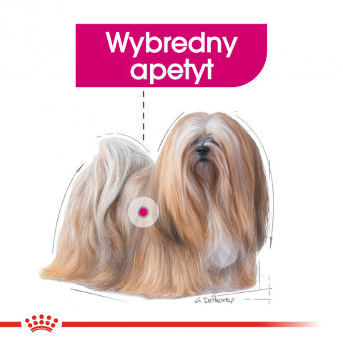 ROYAL CANIN Mini Exigent - sucha karma dla psów wybrednych - 3 kg - Galeria zdjęcie 3