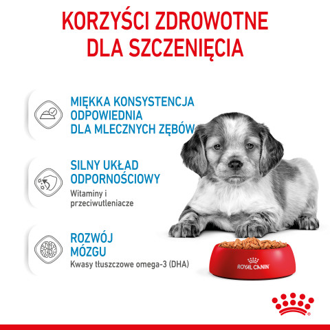 ROYAL CANIN SHN Medium Puppy w sosie - mokra karma dla szczeniąt - 10X140g - Galeria zdjęcie 7