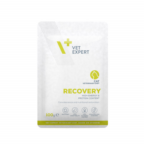 VET EXPERT Veterinary Diet Recovery Cat - mokra karma dla kota - 100g - Galeria zdjęcie 1