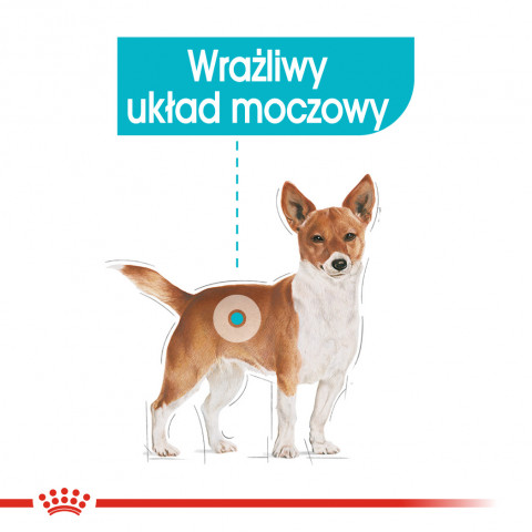 ROYAL CANIN CCN Urinary Care Loaf - mokra karma dla psa dorosłego - 12x85g - Galeria zdjęcie 5