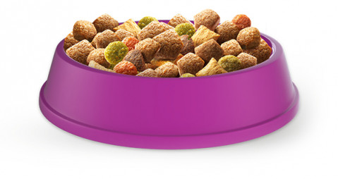 WHISKAS Adult z kurczakiem - sucha karma dla kota - 2x14 kg - Galeria zdjęcie 2